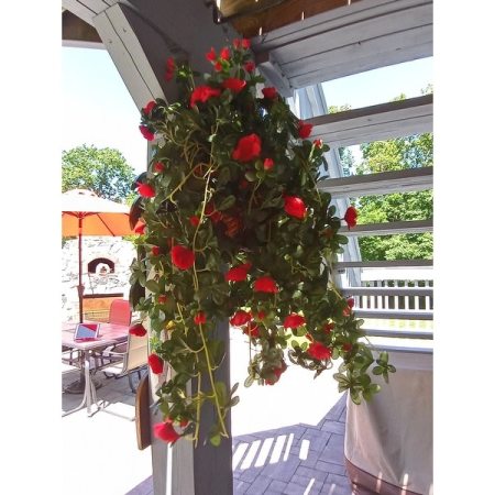 Customer image 4
