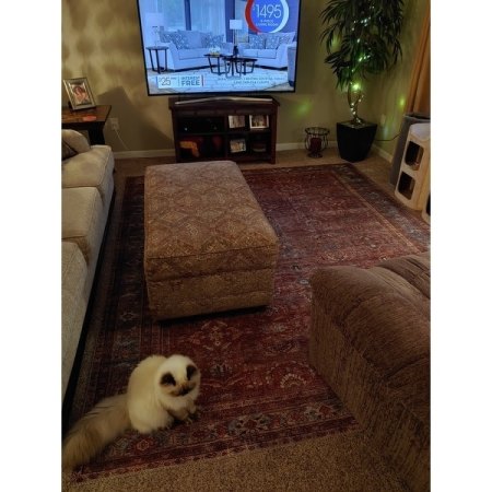 Customer image 49