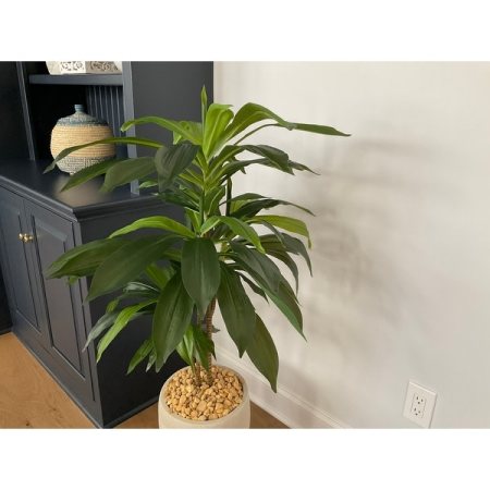 Customer image 10
