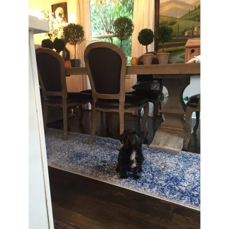 Customer image 1172