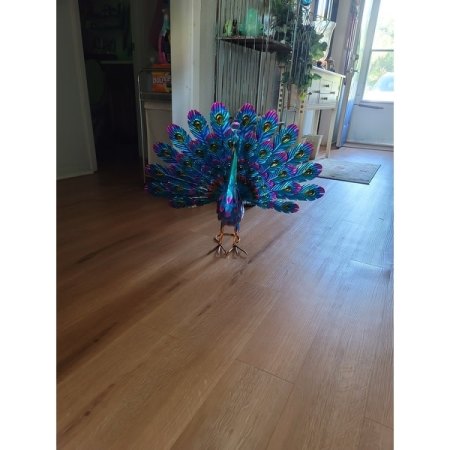 Customer image 26