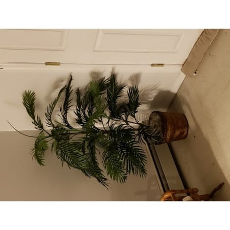 Customer image 29