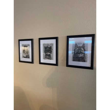 Customer image 3
