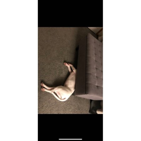 Customer image 25