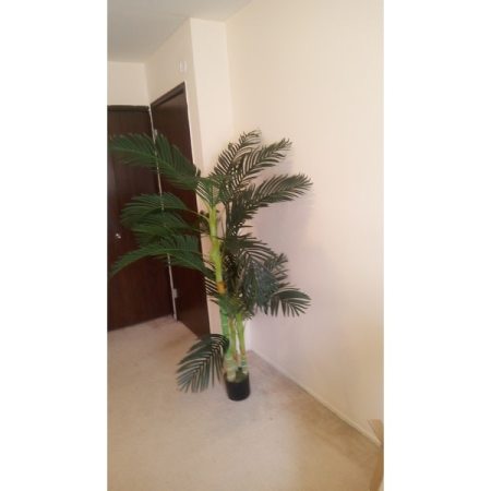 Customer image 10