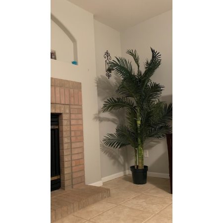 Customer image 77