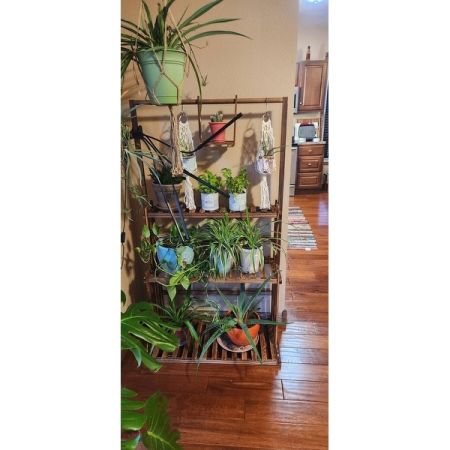 Customer image 13