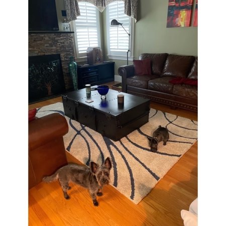 Customer image 138