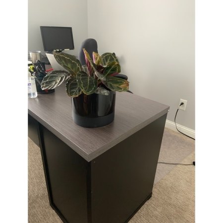 Customer image 2