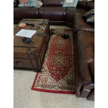 Customer image 43