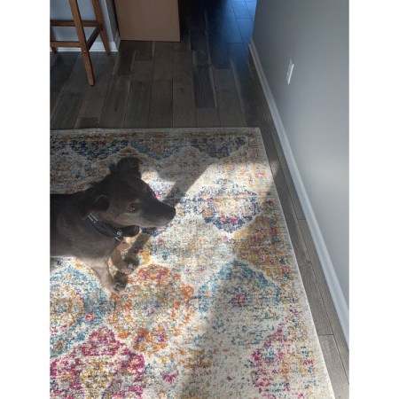 Customer image 1392