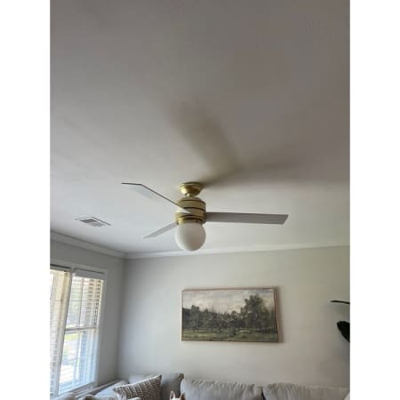 Customer image 4