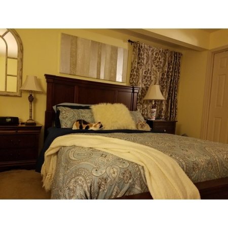 Customer image 19