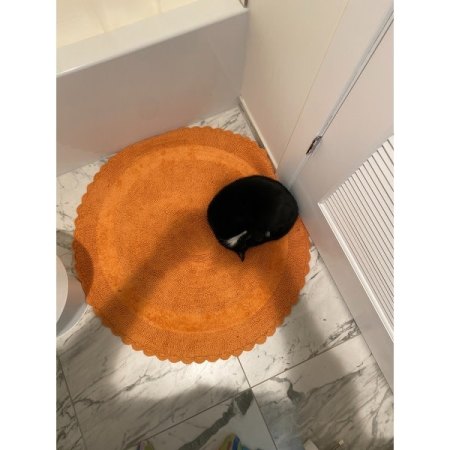 Customer image 3
