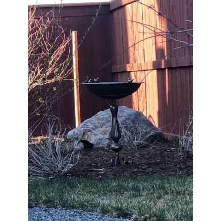 Customer image 1