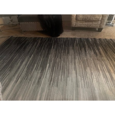 Customer image 131