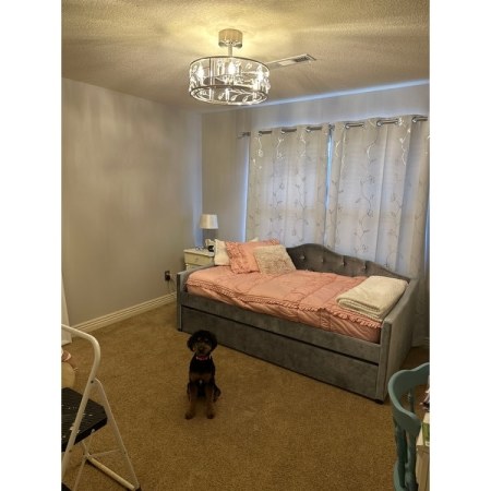 Customer image 2