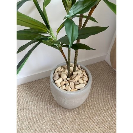 Customer image 43