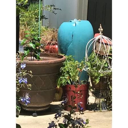 Customer image 56