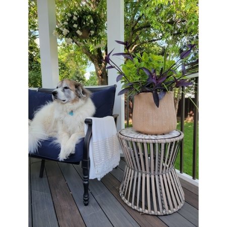Customer image 1