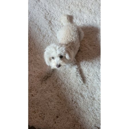 Customer image 7