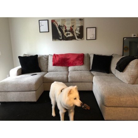 Customer image 8