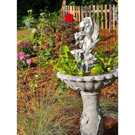 Customer image 1