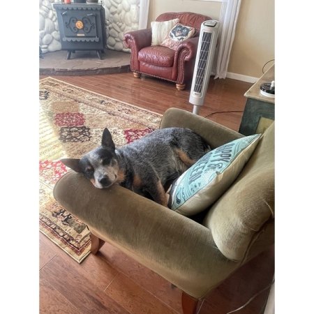 Customer image 4