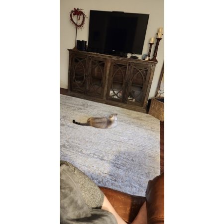 Customer image 8