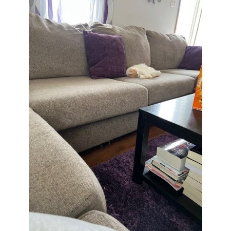 Customer image 41
