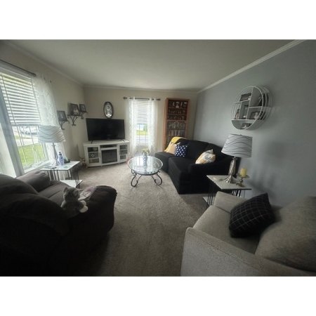 Customer image 4