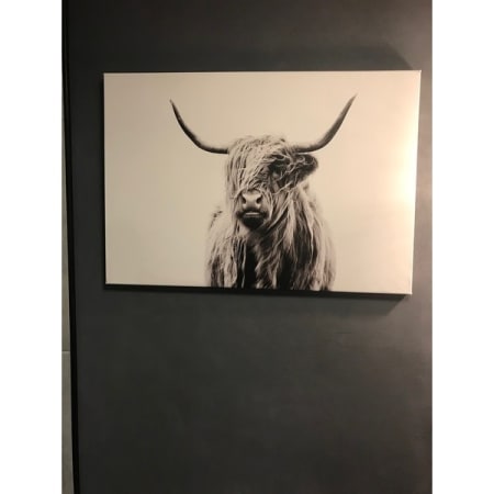 Customer image 27