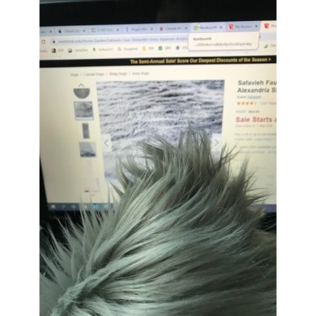 Customer image 58