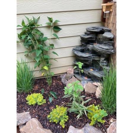 Customer image 1