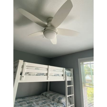 Customer image 2