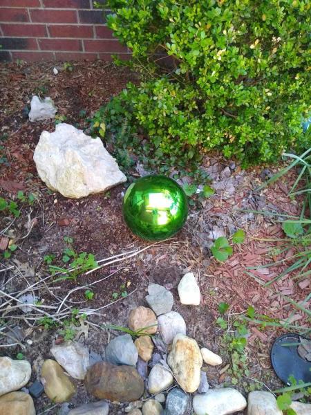 Customer image 5