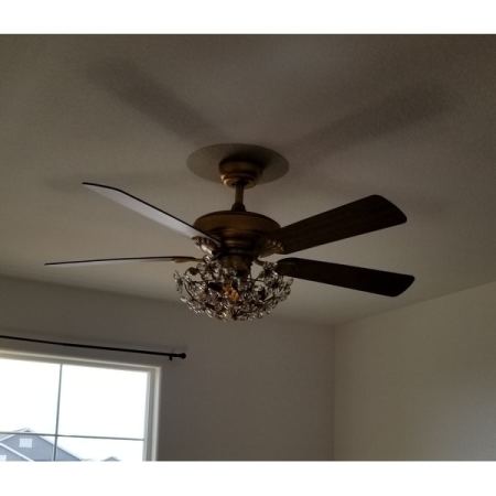 Customer image 8
