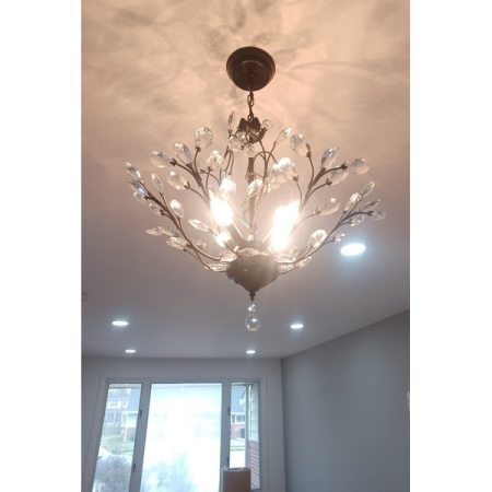 Customer image 7