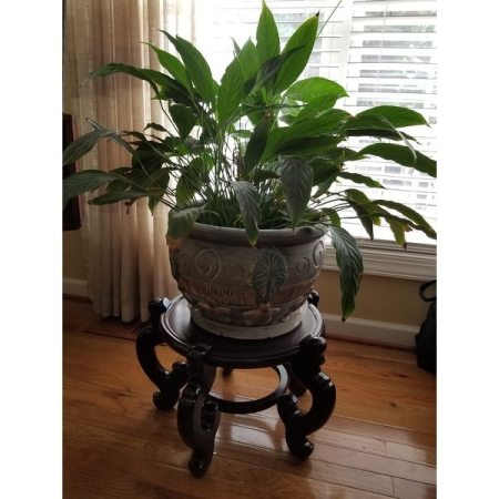 Customer image 1
