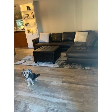 Customer image 5