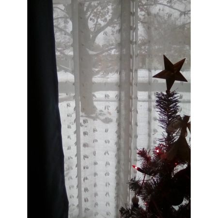 Customer image 25