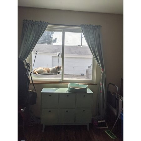 Customer image 101