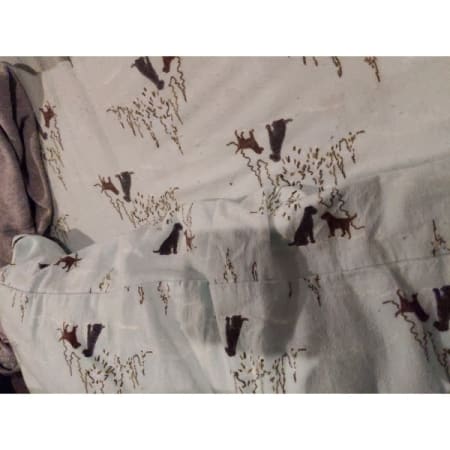 Customer image 84