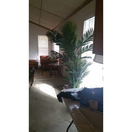 Customer image 230