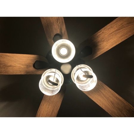 Customer image 41