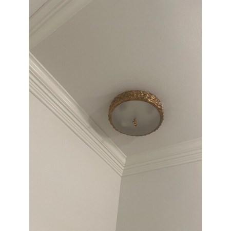Customer image 1