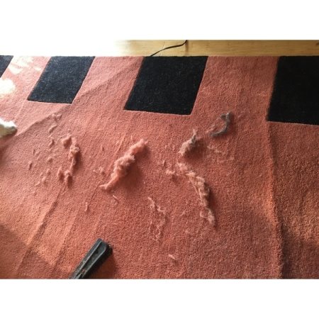 Customer image 64