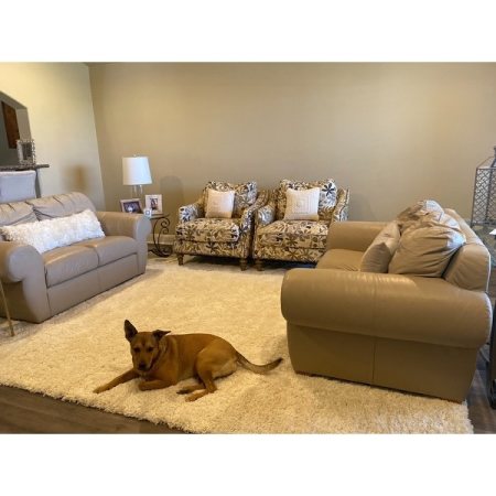 Customer image 22