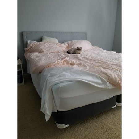 Customer image 7