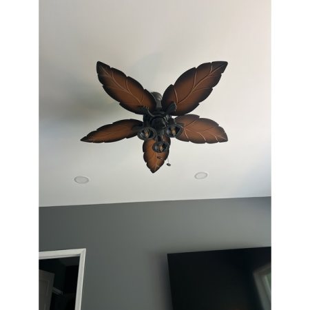 Customer image 24